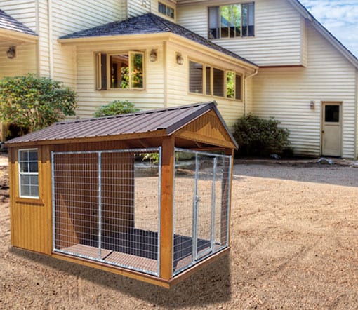 Dog Kennel in dirt in backyard.