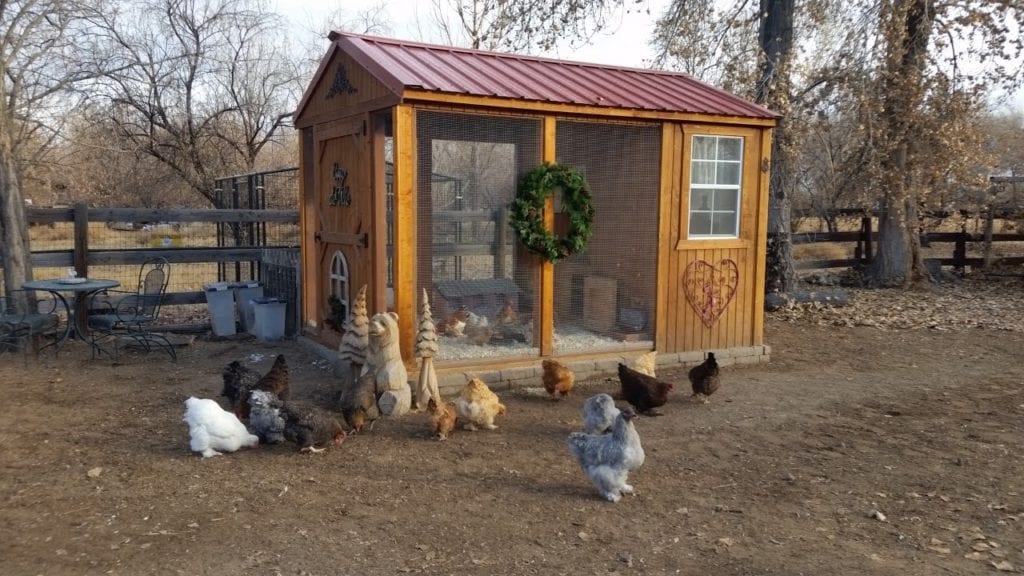 Dog Kennel - Front View