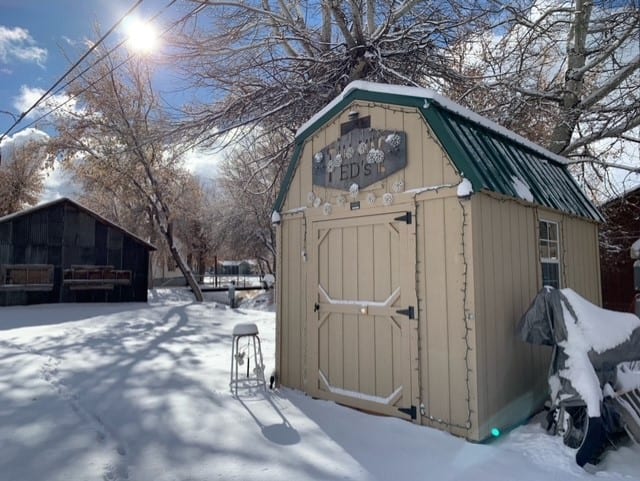 Lofted Shed in Snow