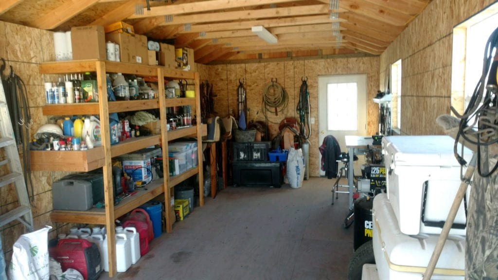 Interior View of Shed Shelves and Door