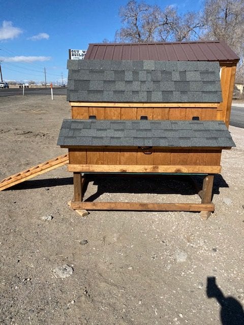 Chicken Coop with Ladder Side View