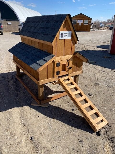 Chicken Coop with Ladder 3/4 View