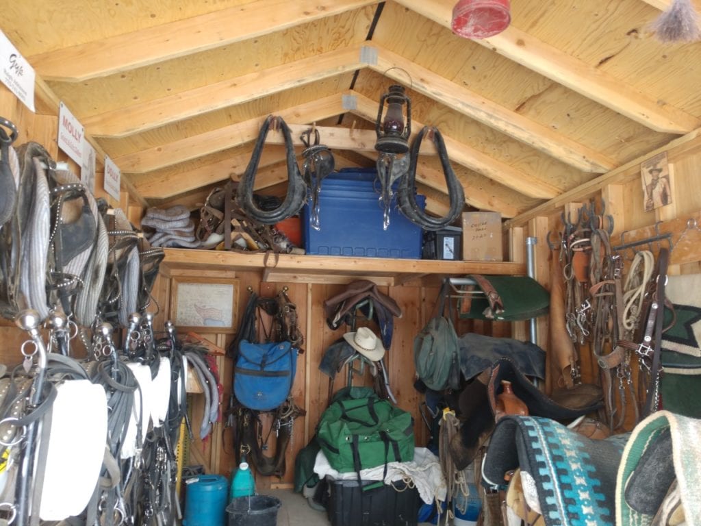 Horse Saddles and Items Stored in Garage