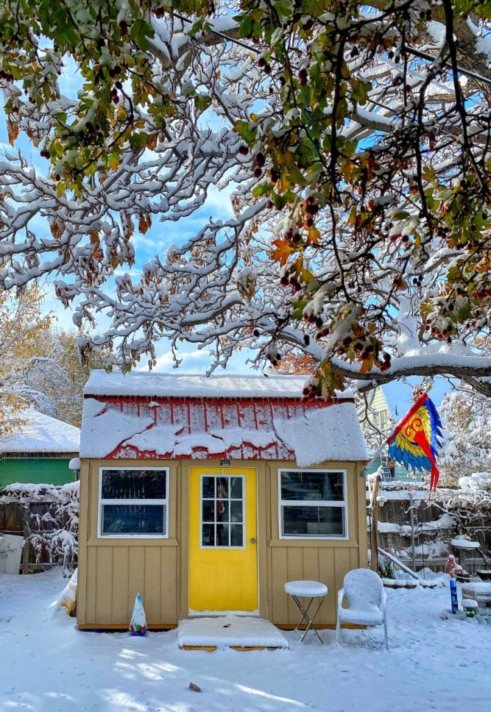 Side Door Cabin on a Snowy Day