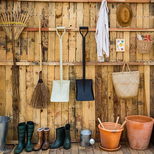 Tools for garden in shed